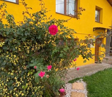 Visoko Apartment | Pyramid Gardens