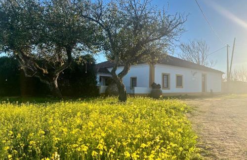 Evora House | Qta Casa Seleiras - Guest House