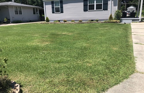 Huntsville House | Quaint Bungalow close to 5 Points!