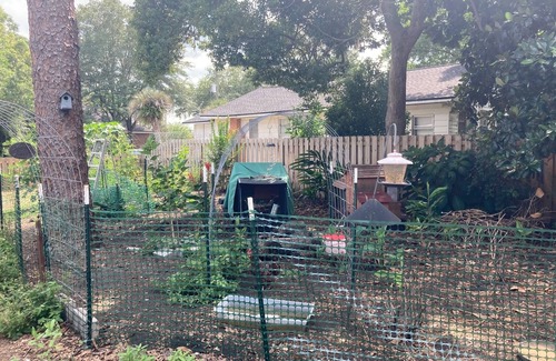 Fairfax House | Quaint, comfortable garden home in the heart of wonderful neighborhoods in Jax!