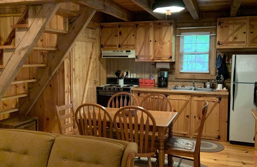 Flat Hollow Marina Cabin | Quaint, Rustic Lakefront Log Cabin on Wooded Lot at Norris Lake ,Private Dock!