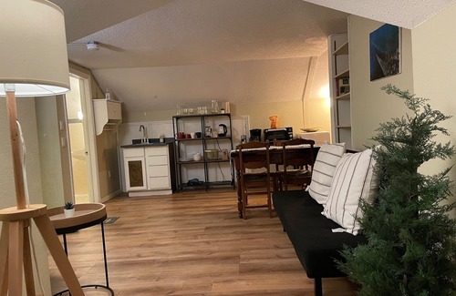 Macalester - Groveland Apartment | Quaint Studio Space, right next to Macalester College, 5 miles uptown/downtown
