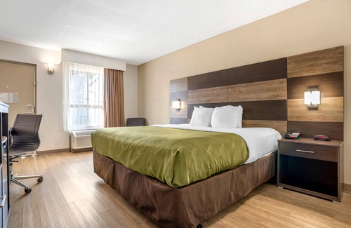 Panama City Hotel | Quality Inn & Conference Center