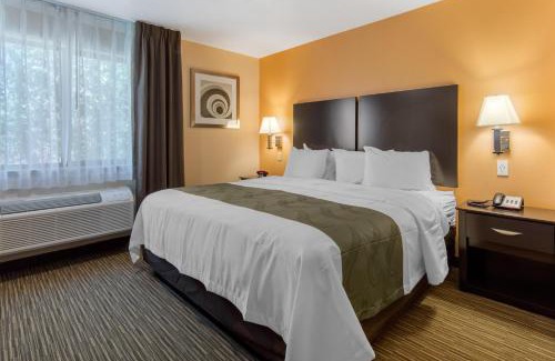 Albuquerque Hotel | Quality Inn & Suites Albuquerque North near Balloon Fiesta Park