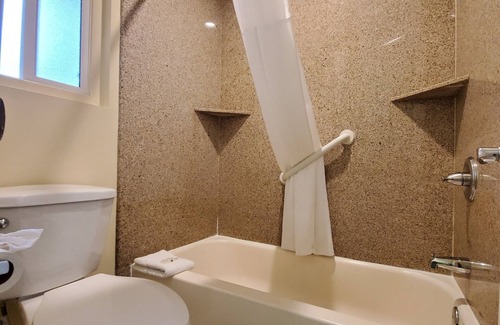 Anaheim Resort Hotel | Quality Inn & Suites Anaheim At The Park
