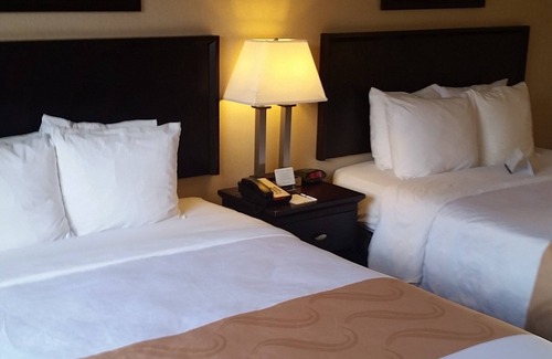 Anaheim Resort Hotel | Quality Inn & Suites Anaheim At The Park