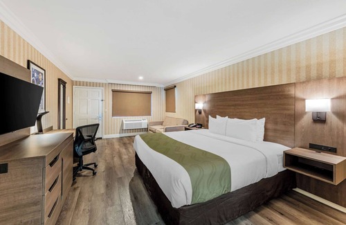 Southwest Anaheim Hotel | Quality Inn & Suites Anaheim Maingate