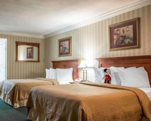 Southwest Anaheim Hotel | Quality Inn & Suites Anaheim Maingate