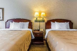 Georgetown Hotel | Quality Inn & Suites Georgetown