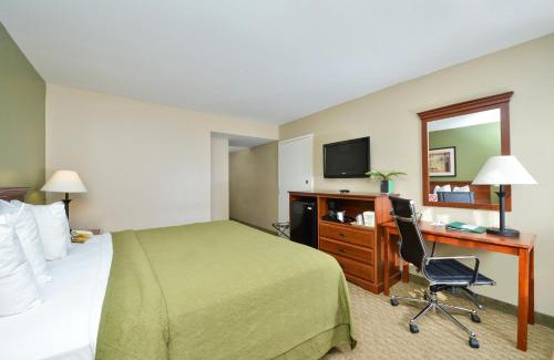 Tampa Hotel | Quality Inn & Suites Tampa-Ybor City