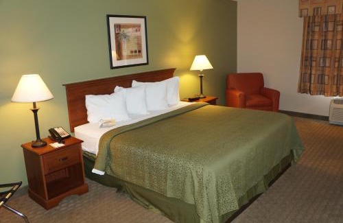 Tampa Hotel | Quality Inn & Suites Tampa-Ybor City