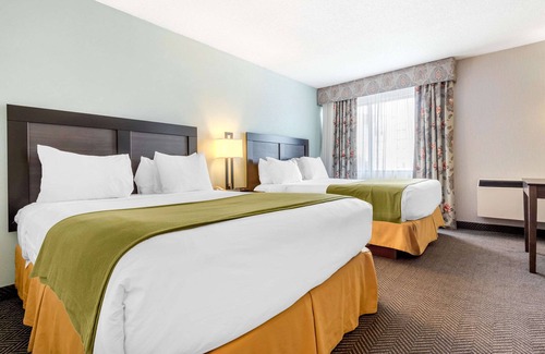 Northeast Mississauga Hotel | Quality Inn & Suites - Toronto West
