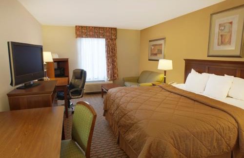 Dawsonville Hotel | Quality Inn & Suites