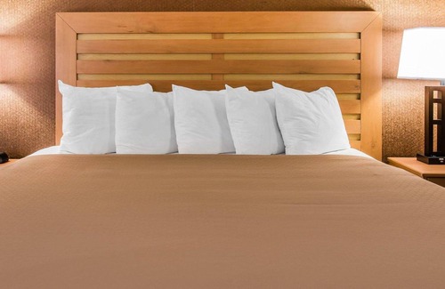 Warren Hotel | Quality Inn & Suites Warren - Detroit
