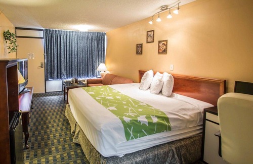 Kissimmee Hotel | Quality Inn