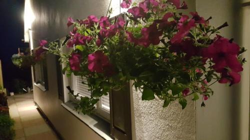Looe House | Quality Self Catering Accommodation Looe Polperro Sleeps 2