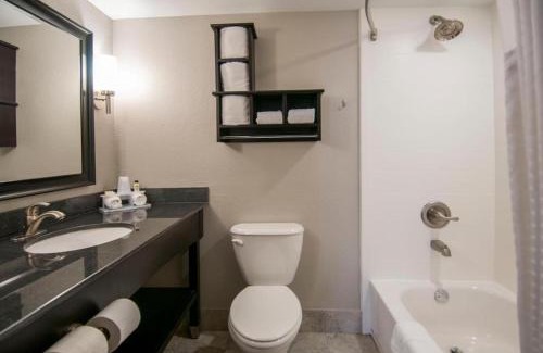 Jackson Apartment | Queen Bed Hotel Suite 213