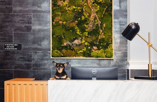 Queens House | Queen Studio in Stylish Family-Owned Gem Near Manhattan - Wheelchair Accessible
