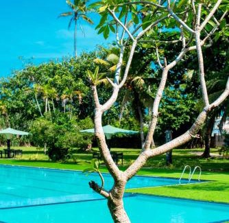 Pinwatta Resort | Queensbury Lake Resort