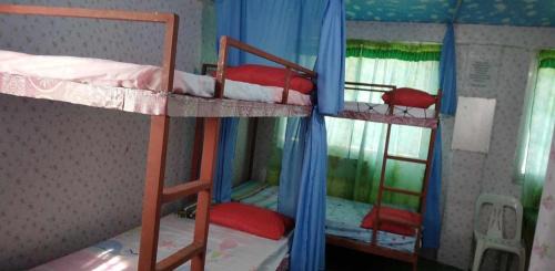Naga House | Quickshape/Quickshield Homestay