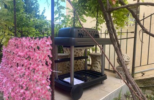 Cimiez Apartment | Quiet apartment, AC with free street parking and little garden