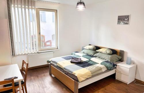 Nove Mesto Apartment | Quiet Central Stay & Parking Assistance