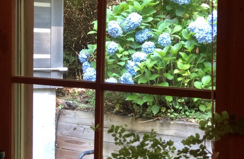 Boone Cottage | Quiet, Charming Cottage in the Mountains of NC