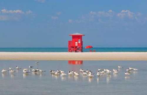 Sarasota House | Quiet Cottage Walk to Siesta Key Relax Or WORK