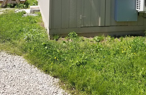 Wilder Cottage | Quiet Get-a-Way Cottage at The Retriever Retreat