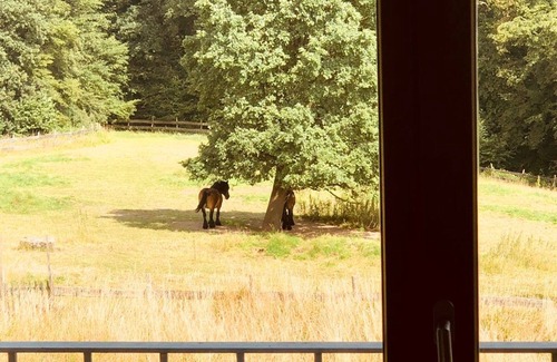 Bergisch Gladbach House | Quiet Nature Near Cologne 2