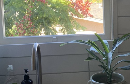 North Park Cottage | Quiet Oasis In North Park Close to Area Beaches, Gaslamp, Zoo and Balboa Park