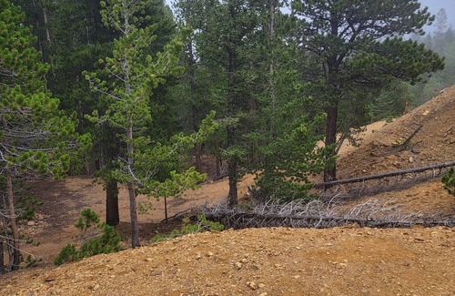 Black Hawk RV Rental | Quiet, Rural, Colorado Mountains Campground