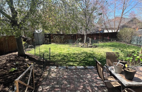 Mountain View House | Quiet, Spacious with Private Backyard and Garden. Comfy, full kitchen, games!