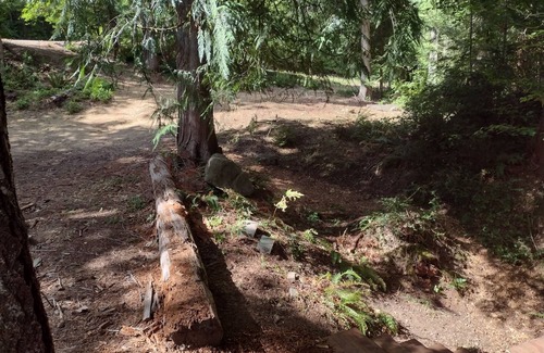 Shelton RV Rental | Quiet tent site. Lots of room. Pet friendly.