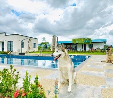 Acacias Villa | Quinta Bella Verde