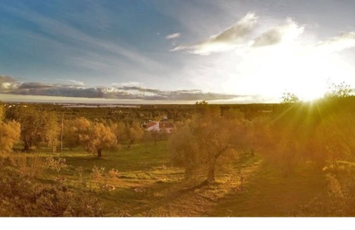 Santo Estevao House | Quinta Braz 5 Stars.