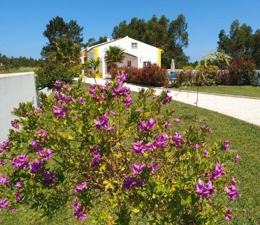 Mouraria Apartment | Quinta da Familia