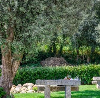 Arcos de Valdevez Apartment | Quinta da Mourinha