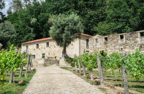 Arcos de Valdevez Apartment | Quinta da Mourinha
