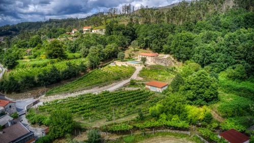 Arcos de Valdevez Apartment | Quinta da Mourinha