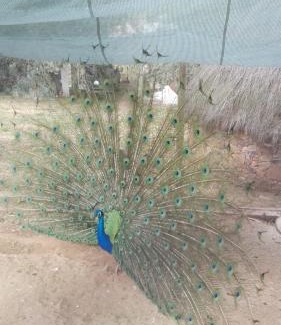 Sao Salvador da Aramenha House | Quinta Do Vaqueirinho - Agro-Turismo