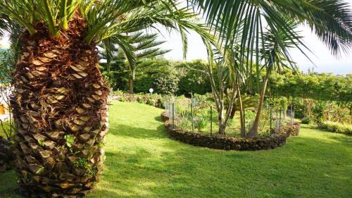 Lagoa House | Quinta dos Aromas