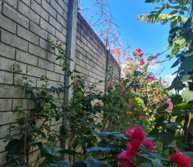 Coatepeque House | Quinta San Juan