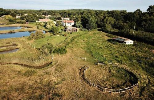 Le Verdon-sur-Mer Ski Chalet | Résidence 076-le Verdon Sur Mer - 076 - Dépaysagement total pour ce chalet en pleine nature MAE-9681