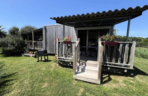 Le Verdon-sur-Mer Ski Chalet | Résidence 076-le Verdon Sur Mer - 076 - Dépaysagement total pour ce chalet en pleine nature MAE-9681