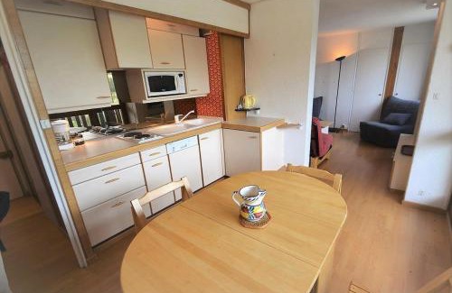 Plagne Centre Apartment | Résidence Le Kilimandjaro - Grand Studio 3/4 pers - LE KILIMANDJARO - PLAGNE CENTRE MAE-1584