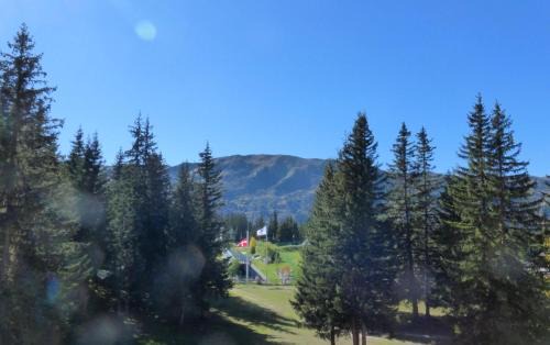 Meribel Apartment | Résidence Les Dauphinelles - 2 pièces cabine pour 4/6 personnes situé à Méribel Altiport proche des pistes de ski et du golf MAE-2035