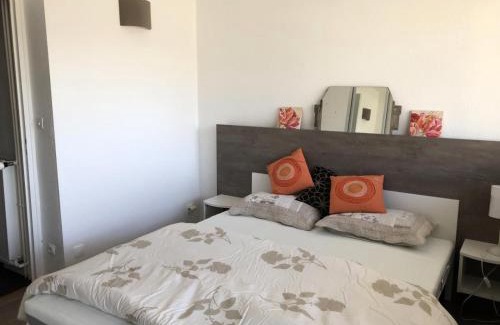 Eaux-Bonnes Apartment | Résidence PENE MEDAA - 2 Pièces pour 6 Personnes MAE-9024