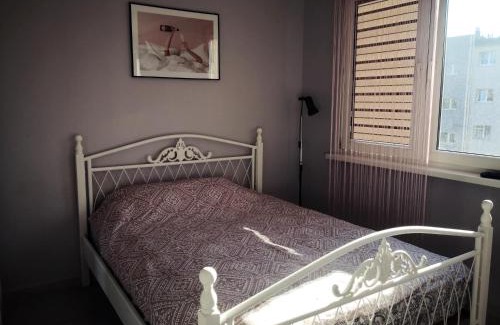 Klodzko Miasto Apartment | Różowe sny
