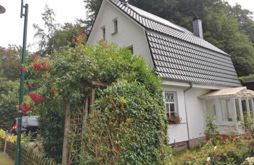 Bergen auf Ruegen Apartment | Rügen Fewo 91 Buchenwinkel